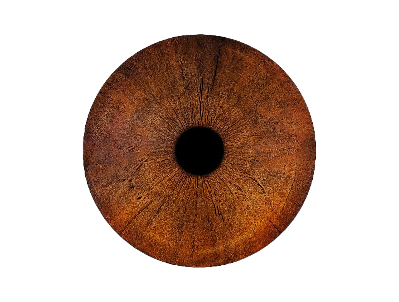 Hero Eye